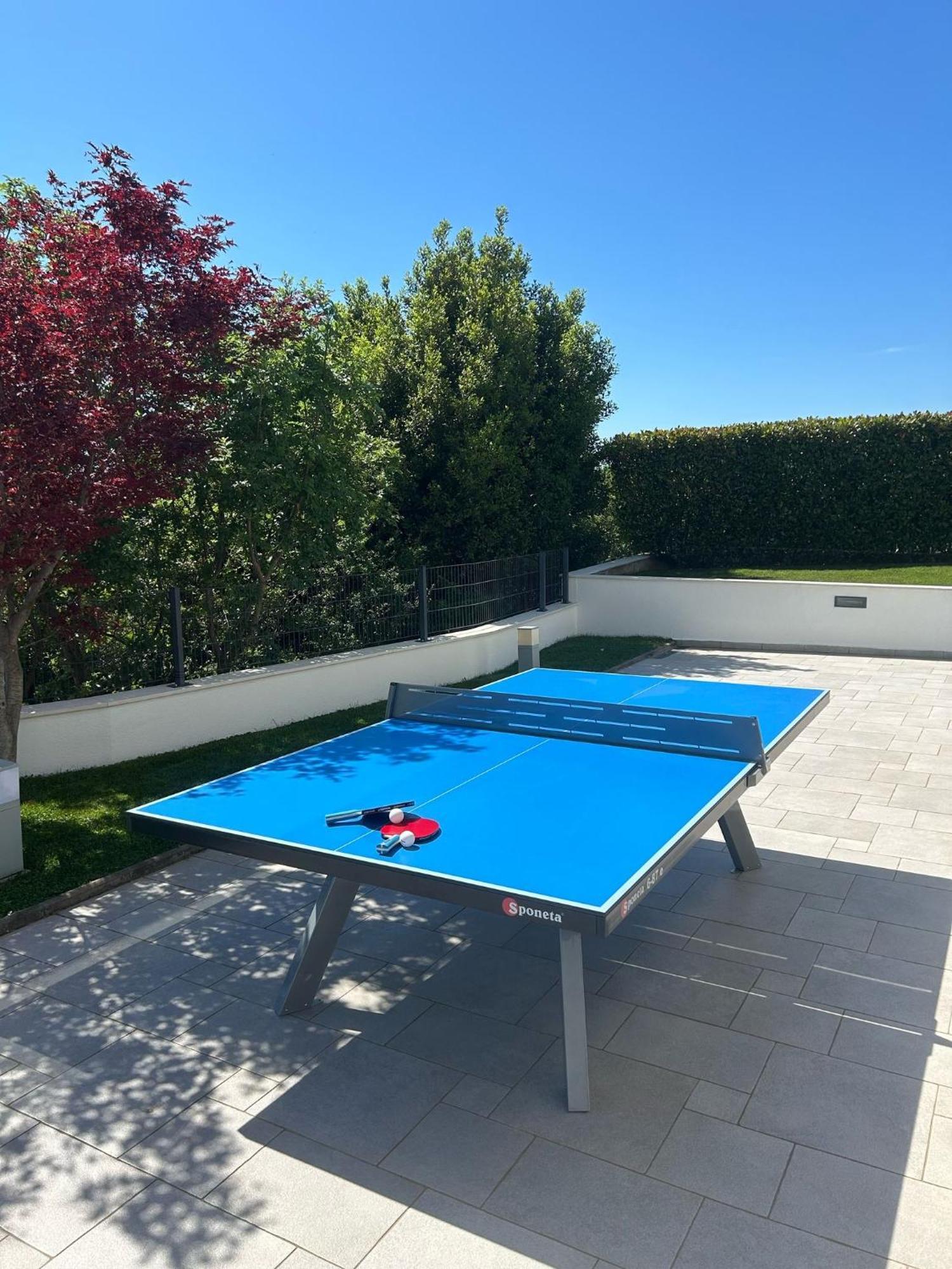 Villa Rina - Luxury Holiday Home ツリクヴェニツァ エクステリア 写真