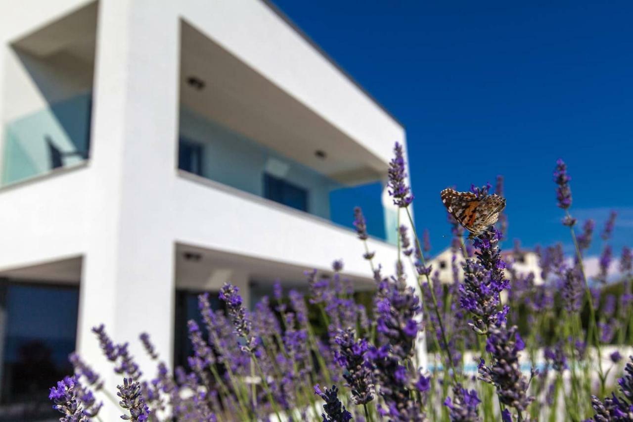 Villa Rina - Luxury Holiday Home ツリクヴェニツァ エクステリア 写真